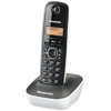 Panasonic KX-TG1611FXW