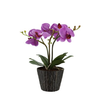 GLOBO Orchidea fialová, dekoračné svietidlo 28003