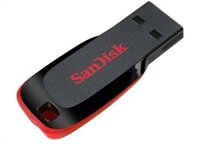 Sandisk 16GB Cruzer Blade