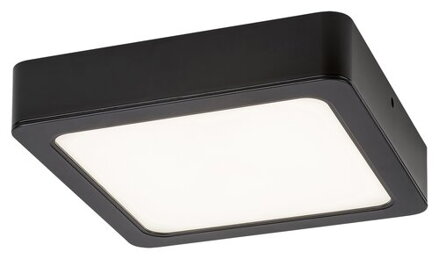 Rabalux SHAUN2 stropné svietidlo 71203