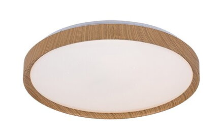 Rabalux Sherwood stropné svietidlo 3500