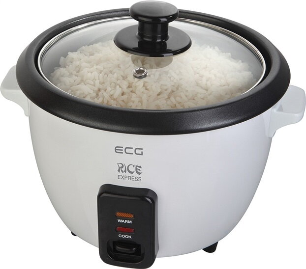 ECG RZ 11 ECG RZ 11